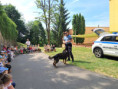 /album/mestska-policia-v-ms-04-06-2026/20260604-102536-jpg/